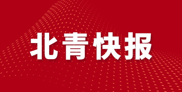 的独特作用 的独特作用