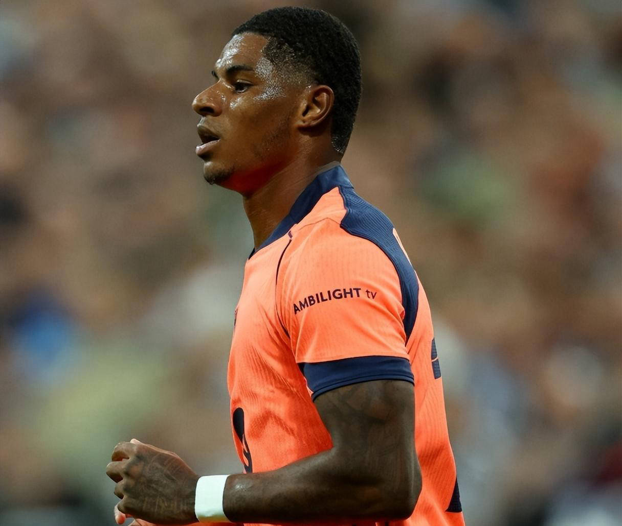 望获得合理, 失利, 拼搏精神 望获得合理, 失利, 拼搏精神