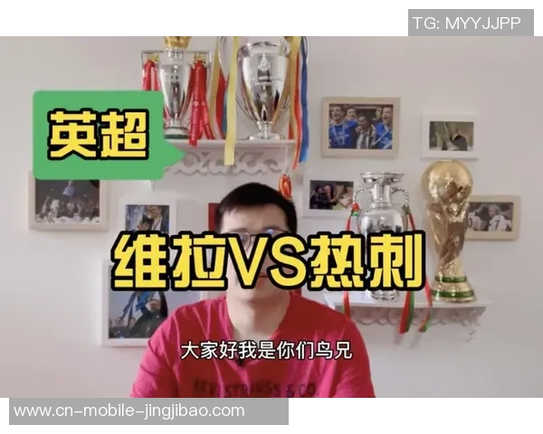 热刺与维拉比赛数据分析全方位解读与统计分析报告